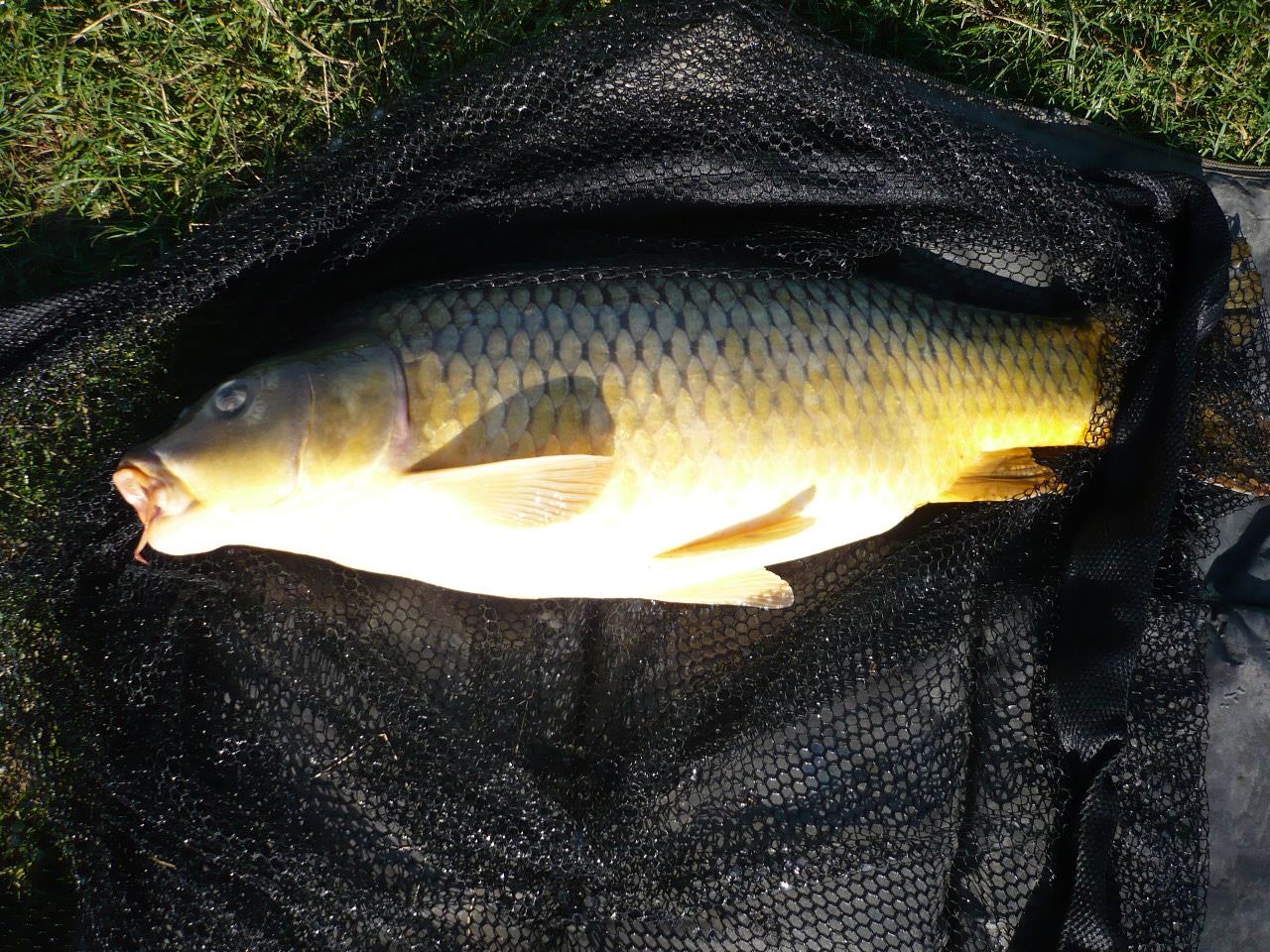 MV 2 - 1.OCT.2014 - p1020861.JPG